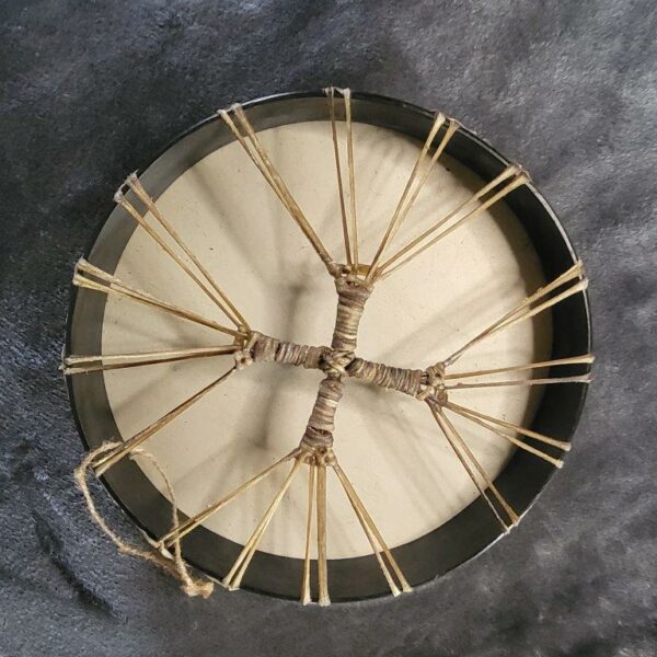 Drum Elk back
