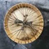Drum Horse back